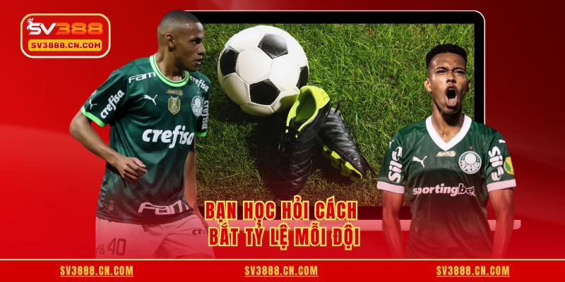 Bạn học hỏi cách bắt tỷ lệ mỗi đội