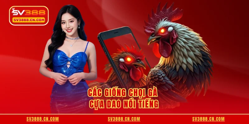 Các giống chọi gà cựa dao nổi tiếng