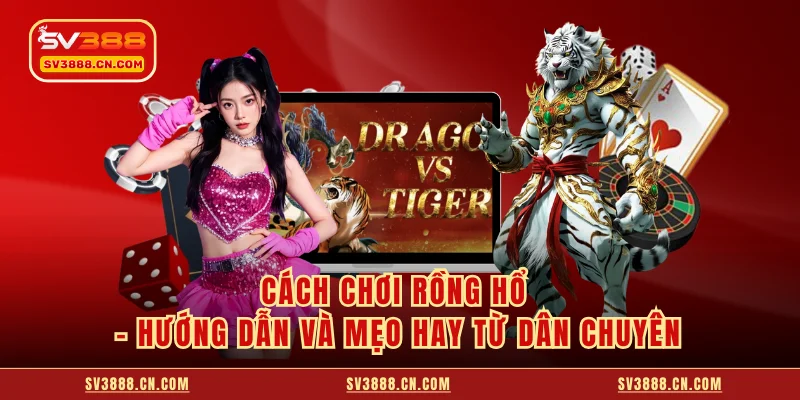 Cách Chơi Rồng Hổ - Hướng Dẫn Và Mẹo Hay Từ Dân Chuyên