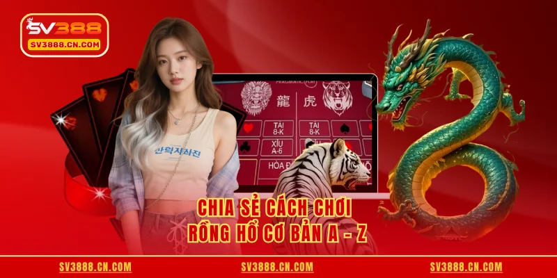 Chia sẻ cách chơi rồng hổ cơ bản A - Z