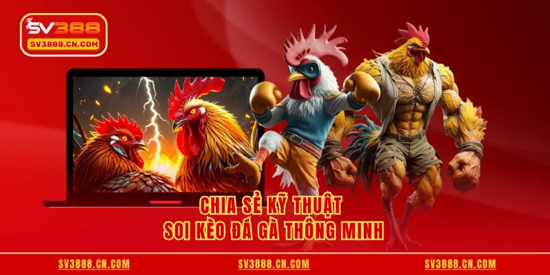 Chia sẻ kỹ thuật soi kèo đá gà thông minh