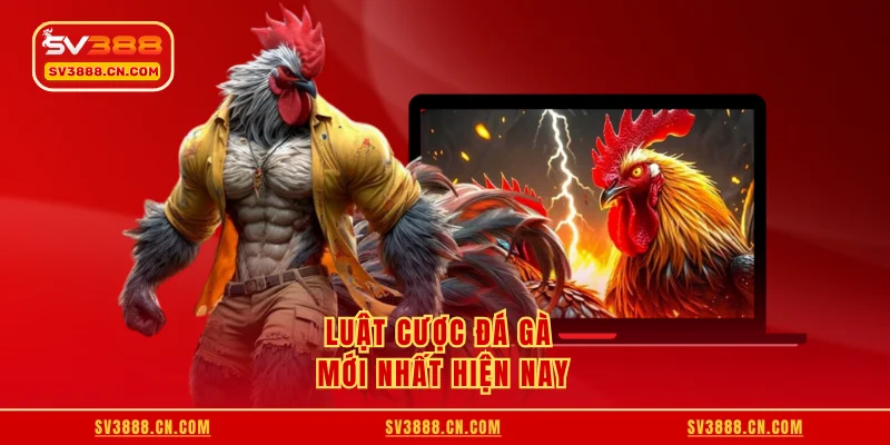 Luật cược đá gà mới nhất hiện nay