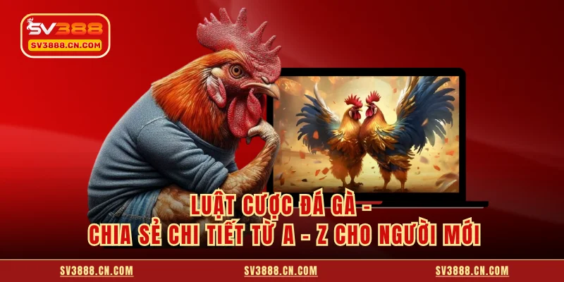 Luật Cược Đá Gà - Chia Sẻ Chi Tiết Từ A - Z Cho Người Mới