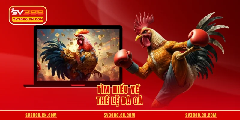 Tìm hiểu về thể lệ đá gà